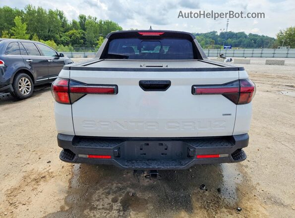 5NTJCDAE7RH099091 2024 HYUNDAI SANTA White უკანა ხედი