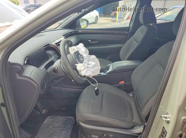 5NTJCDDE4RH115274 2024 HYUNDAI SANTA Green Front interior view
