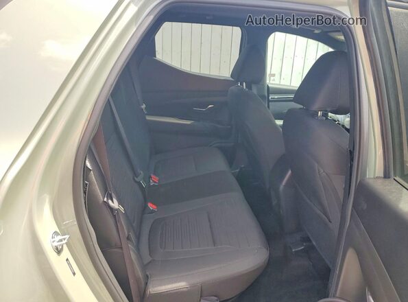 5NTJCDDE4RH115274 2024 HYUNDAI SANTA Green Rear seats view
