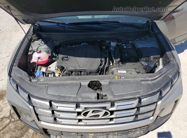 5NTJCDDEXSH151122 2025 HYUNDAI SANTA Серый Вид задней части салона