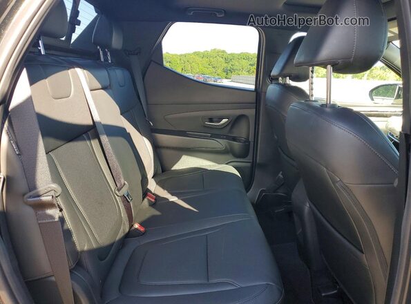 5NTJCDDF6RH104494 2024 HYUNDAI SANTA Black Vista de los asientos traseros