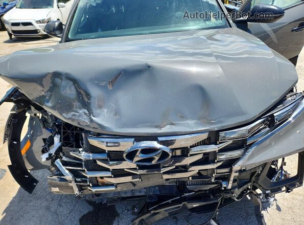 5NTJDDAF1RH079621 2024 HYUNDAI SANTA Gray Widok wnętrza z tyłu