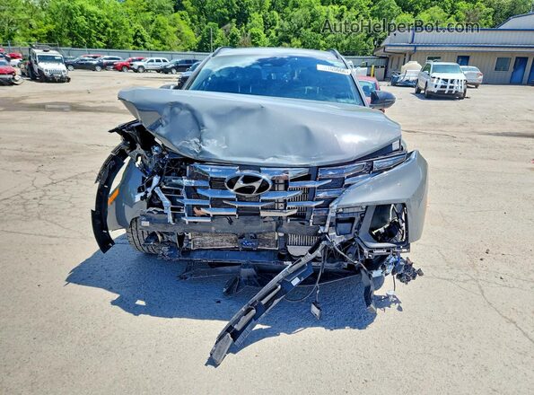 5NTJDDAF1RH079621 2024 HYUNDAI SANTA Gray Widok z przodu