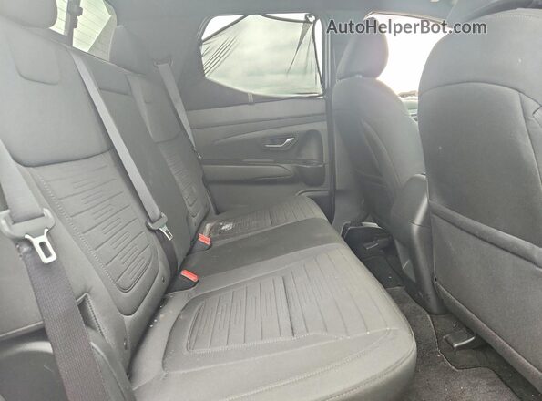 5NTJDDAF4PH070425 2023 HYUNDAI SANTA Синий Вид задних сидений