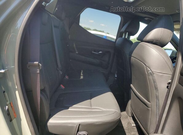 5NTJDDDF0RH113298 2024 HYUNDAI SANTA Green Вид задніх сидінь