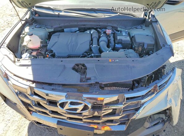 5NTJDDDF0RH113298 2024 HYUNDAI SANTA Green Вид задньої частини салону