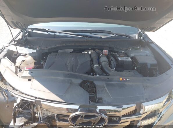 5NTJDDDF3RH124134 2024 HYUNDAI SANTA CRUZ Gray Widok z tyłu