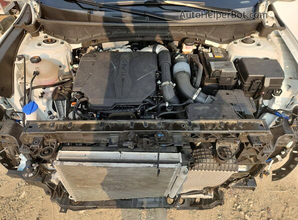 5NTJEDAF1PH059606 2023 HYUNDAI SANTA White Vista interior trasera