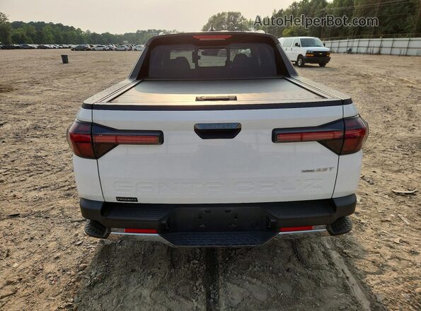 5NTJEDAF1PH059606 2023 HYUNDAI SANTA White Vista trasera
