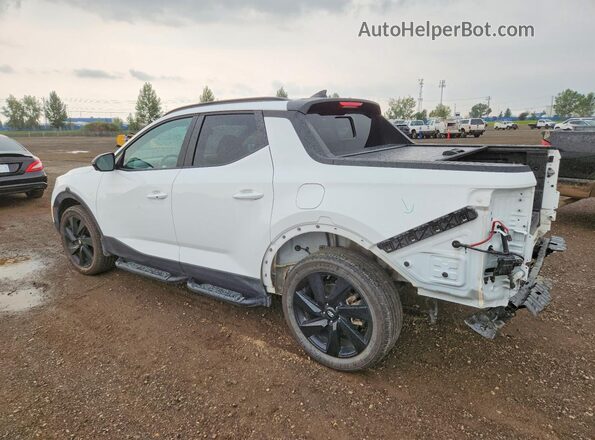 5NTJEDAF5PH063402 2023 HYUNDAI SANTA White Հետևի ձախ