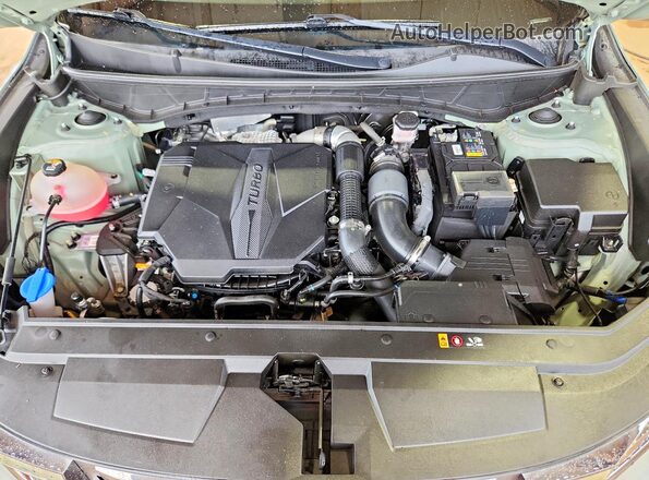 5NTJEDAF8PH048537 2023 HYUNDAI SANTA Зеленый Вид задней части салона