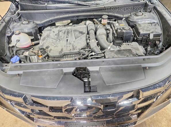 5NTJEDAFXPH055117 2023 HYUNDAI SANTA Black Вид задньої частини салону