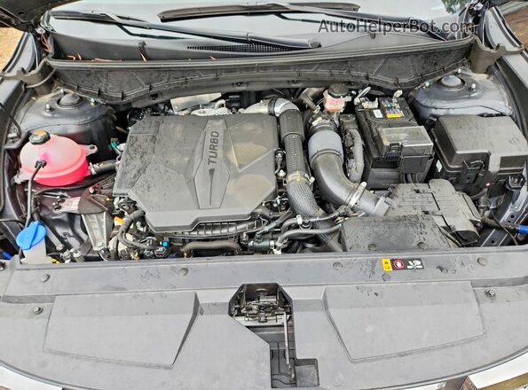 5NTJEDDF0RH121544 2024 HYUNDAI SANTA Black Vista interior trasera