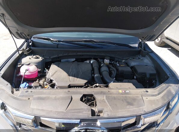 5NTJEDDF0RH125478 2024 HYUNDAI SANTA CRUZ Gray Widok z tyłu