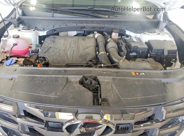 5NTJEDDF2RH108097 2024 HYUNDAI SANTA White Vista interior trasera