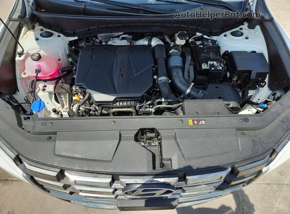 5NTJEDDFXTH159497 2026 HYUNDAI SANTA White Սալոնի հետևի տեսք
