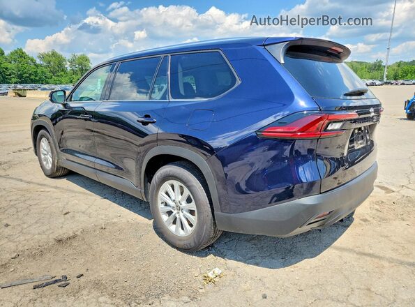 5TDAAAA58SS030140 2025 TOYOTA GRAND Blue Задня ліва чверть