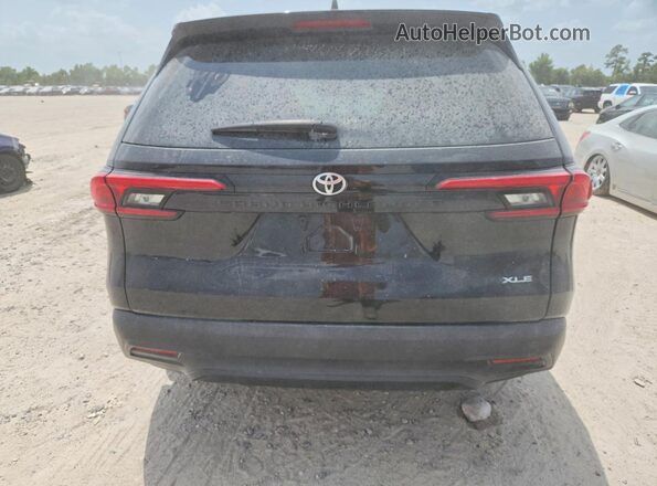 5TDAAAA59RS017536 2024 TOYOTA GRAND Black Rear view