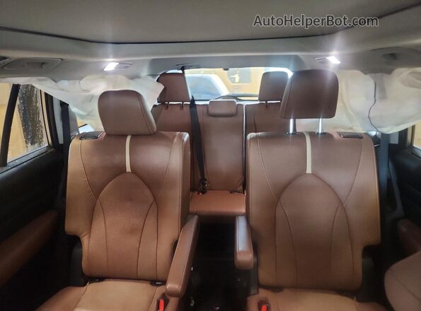 5TDAAAB53RS043774 2024 TOYOTA GRAND Silver Vista de los asientos traseros