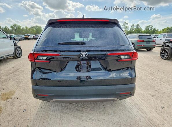 5TDAAAB54SS085070 2025 TOYOTA GRAND Black Widok z tyłu