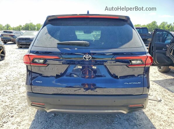 5TDAAAB57SS079165 2025 TOYOTA GRAND Blue უკანა ხედი