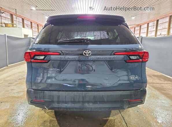 5TDAAAB57SS087234 2025 TOYOTA GRAND Gray უკანა ხედი
