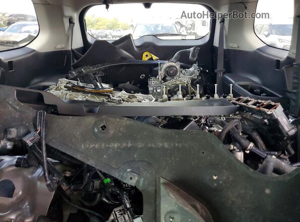 5TDAAAB59RS019916 2024 TOYOTA GRAND Blue Հետևի նստատեղերի տեսք