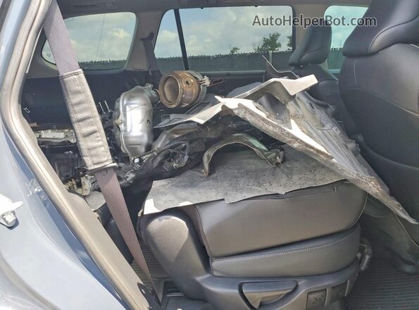 5TDAAAB59RS019916 2024 TOYOTA GRAND Blue Սալոնի հետևի տեսք