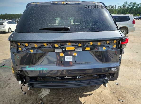5TDAAAB60SS033783 2025 LEXUS TX Gray Вид ззаду