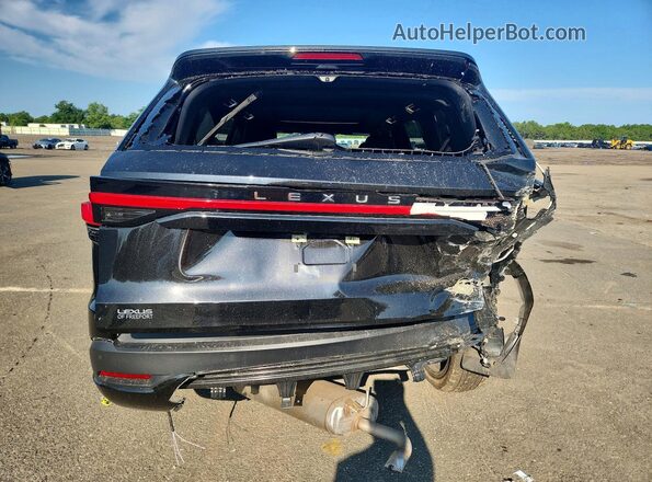 5TDAAAB61SS040838 2025 LEXUS TX Black უკანა ხედი
