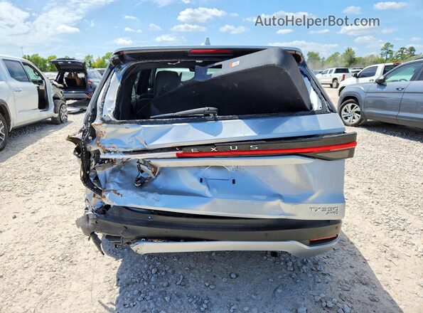 5TDAAAB62SS025927 2025 LEXUS TX Silver Rear view