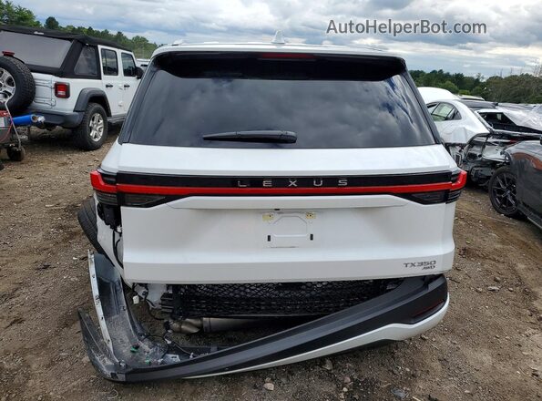 5TDAAAB63TS064401 2026 LEXUS TX White Rear view