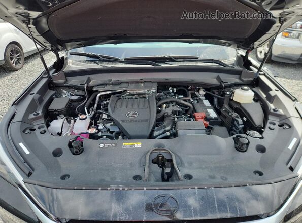 5TDAAAB66SS033190 2025 LEXUS TX Black უკანა სალონის ხედი