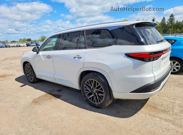 5TDAAAB68RS006261 2024 LEXUS TX White Tył lewy