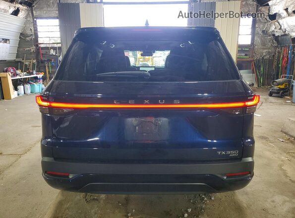 5TDAAAB68RS016434 2024 LEXUS TX Blue Widok z tyłu