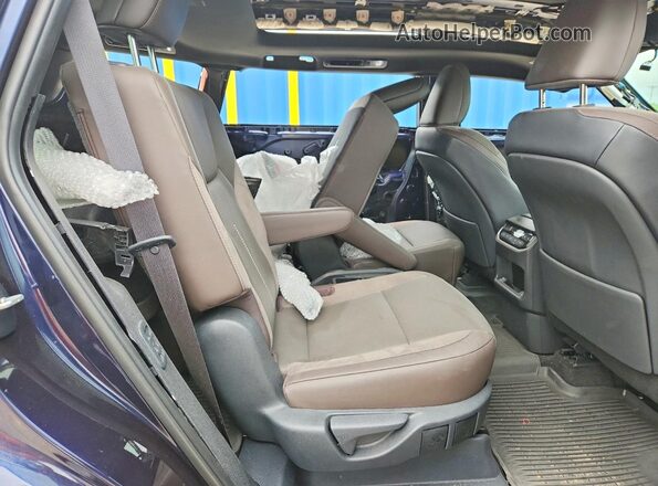 5TDAAAB69SS042336 2025 LEXUS TX Blue Вид задньої частини салону