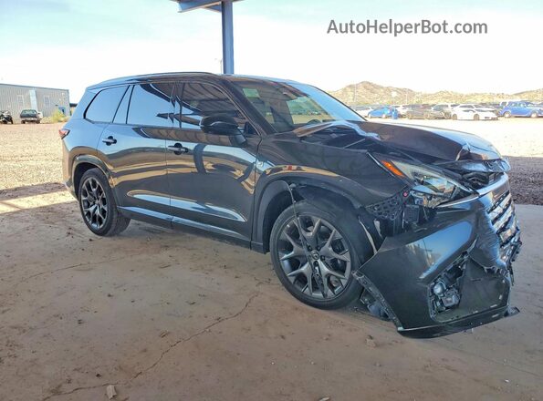5TDABAB62SS011071 2025 LEXUS TX Black Delantero derecho