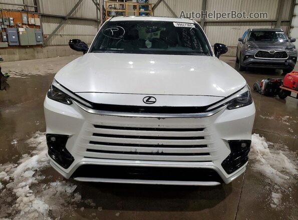 5TDABAB69RS003723 2024 LEXUS TX White Widok z przodu