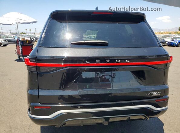 5TDABAB69RS004015 2024 LEXUS TX Black Вид ззаду