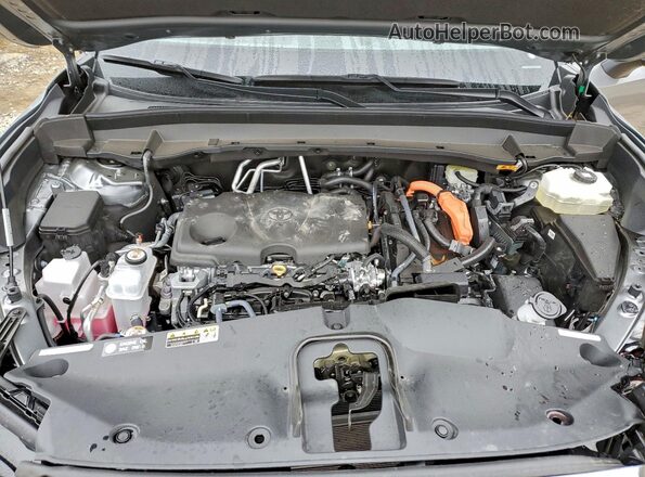 5TDACAB50SS063934 2025 TOYOTA GRAND Gray უკანა სალონის ხედი