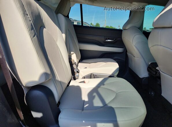 5TDACAB51SS055387 2025 TOYOTA GRAND Blue Vista interior trasera