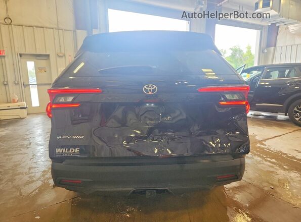 5TDACAB53SS050997 2025 TOYOTA GRAND Black Widok z tyłu