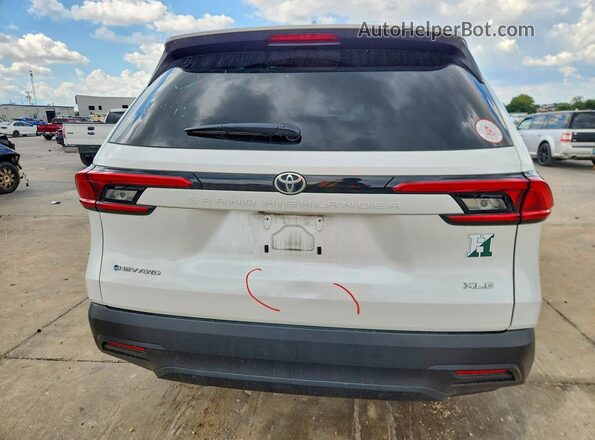 5TDACAB5XRS006019 2024 TOYOTA GRAND White უკანა ხედი
