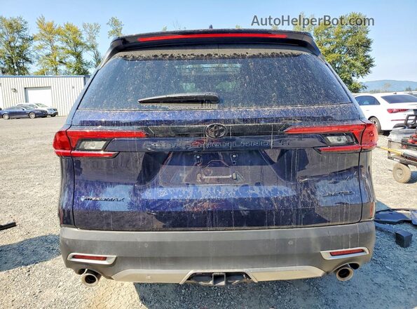 5TDADAB56SS025492 2025 TOYOTA GRAND Blue Vista trasera