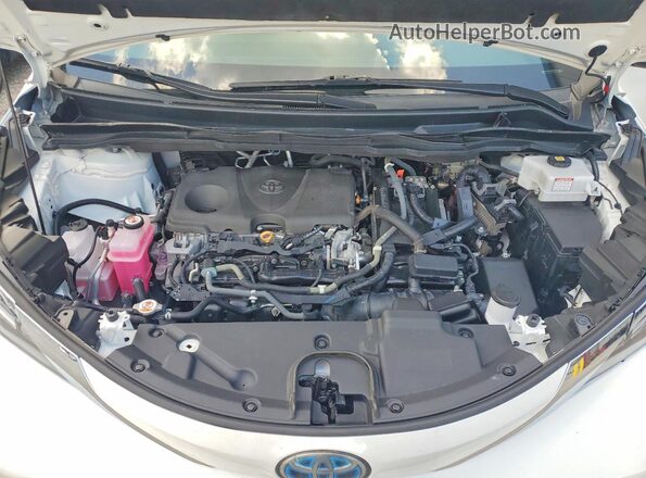 5TDBRKEC6MS028482 2021 TOYOTA SIENNA White 