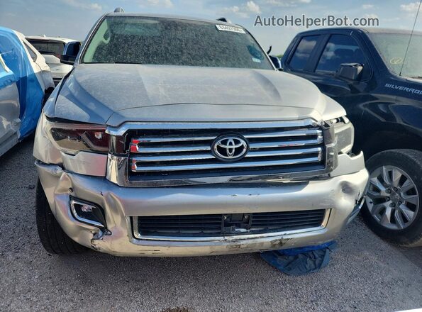 5TDDY5G18LS175135 2020 TOYOTA SEQUOIA Silver Widok z przodu