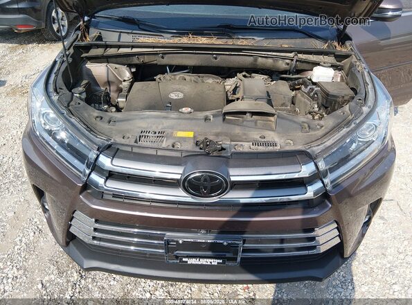 5TDDZRFH1KS973977 2019 TOYOTA HIGHLANDER Зеленый Вид сзади