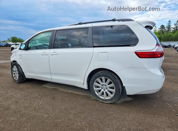 5TDJZ3DC9HS185870 2017 TOYOTA SIENNA White Trasero izquierdo
