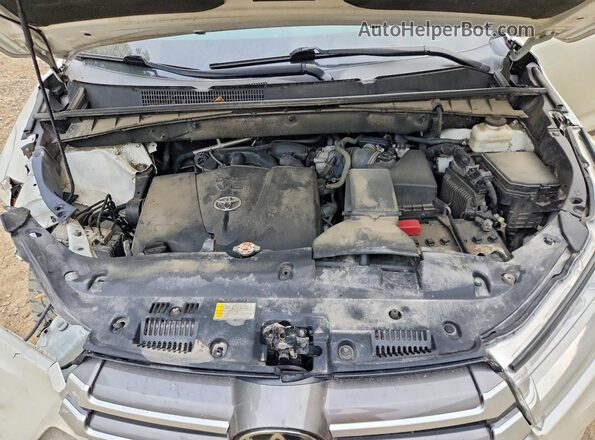 5TDJZRFH3KS614875 2019 TOYOTA HIGHLANDER White Շարժիչի բաժամունքի տեսք