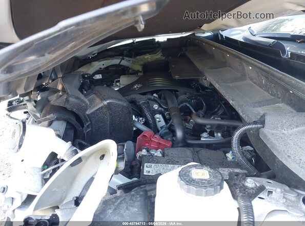 5TDKDRBH3RS536682 2024 TOYOTA HIGHLANDER White Widok z tyłu